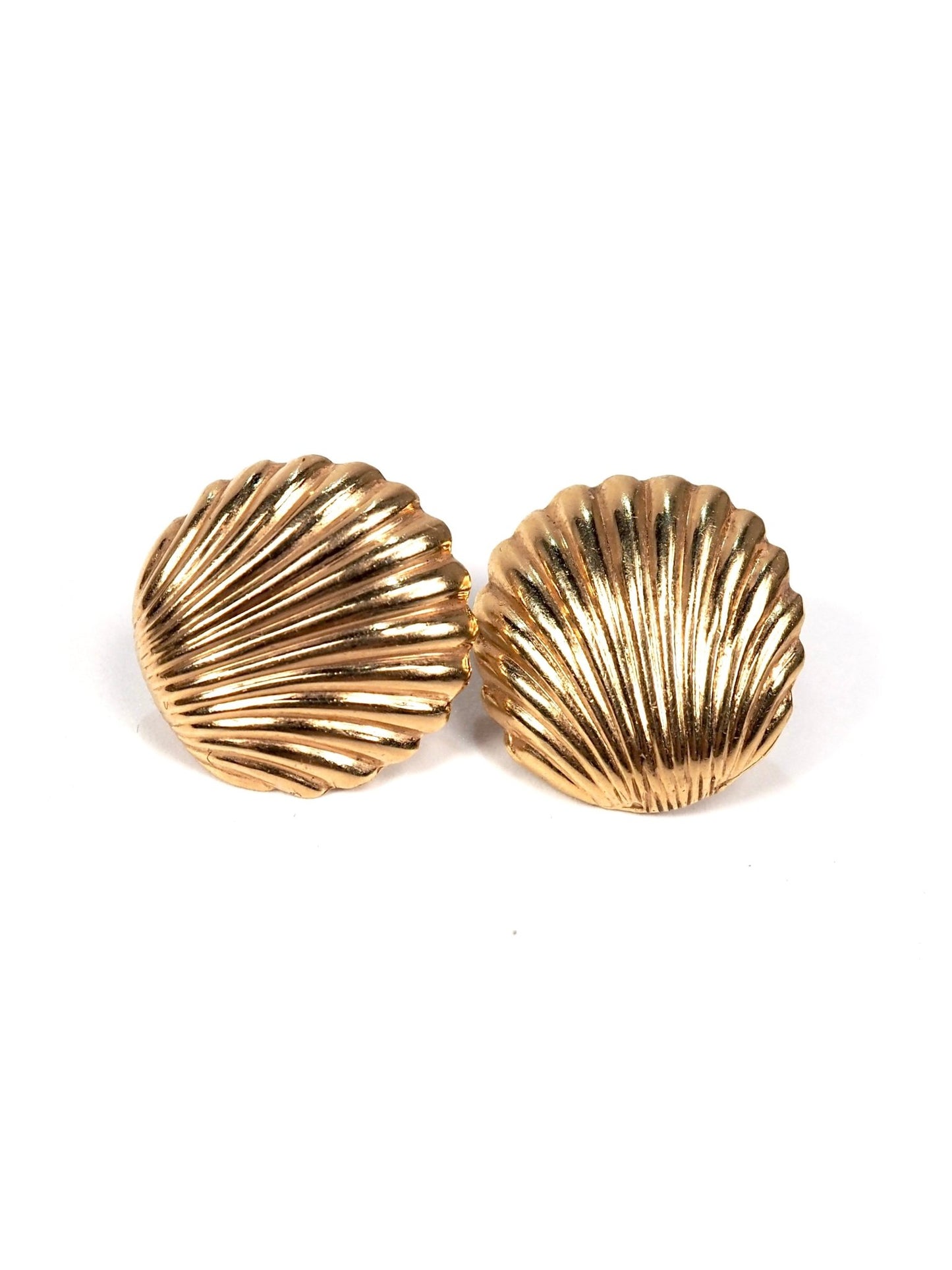 14K Gold Scallop Seashell Earrings - Georgie's NYC - Earrings