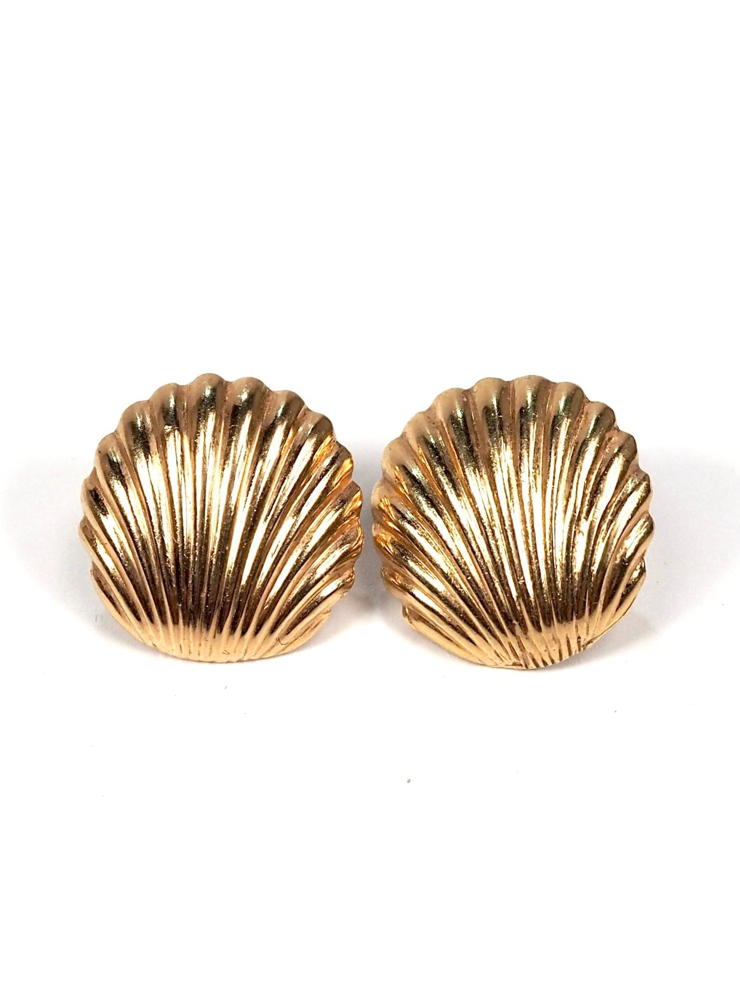 14K Gold Scallop Seashell Earrings - Georgie's NYC - Earrings