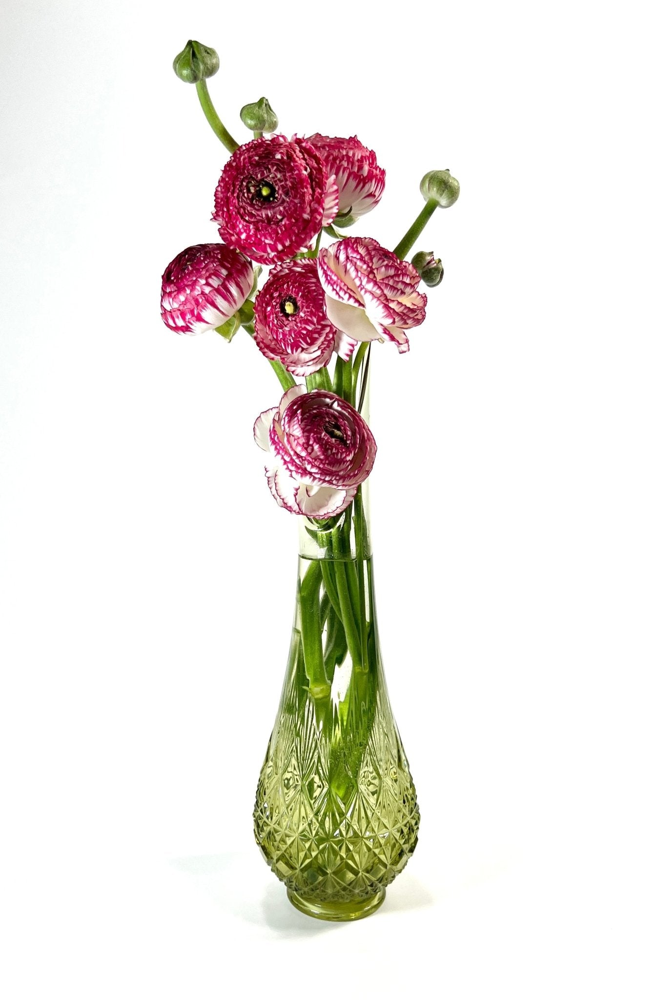 Fenton Olde Virginia Avocado Green Swung Vase - Georgie's NYC - Vases