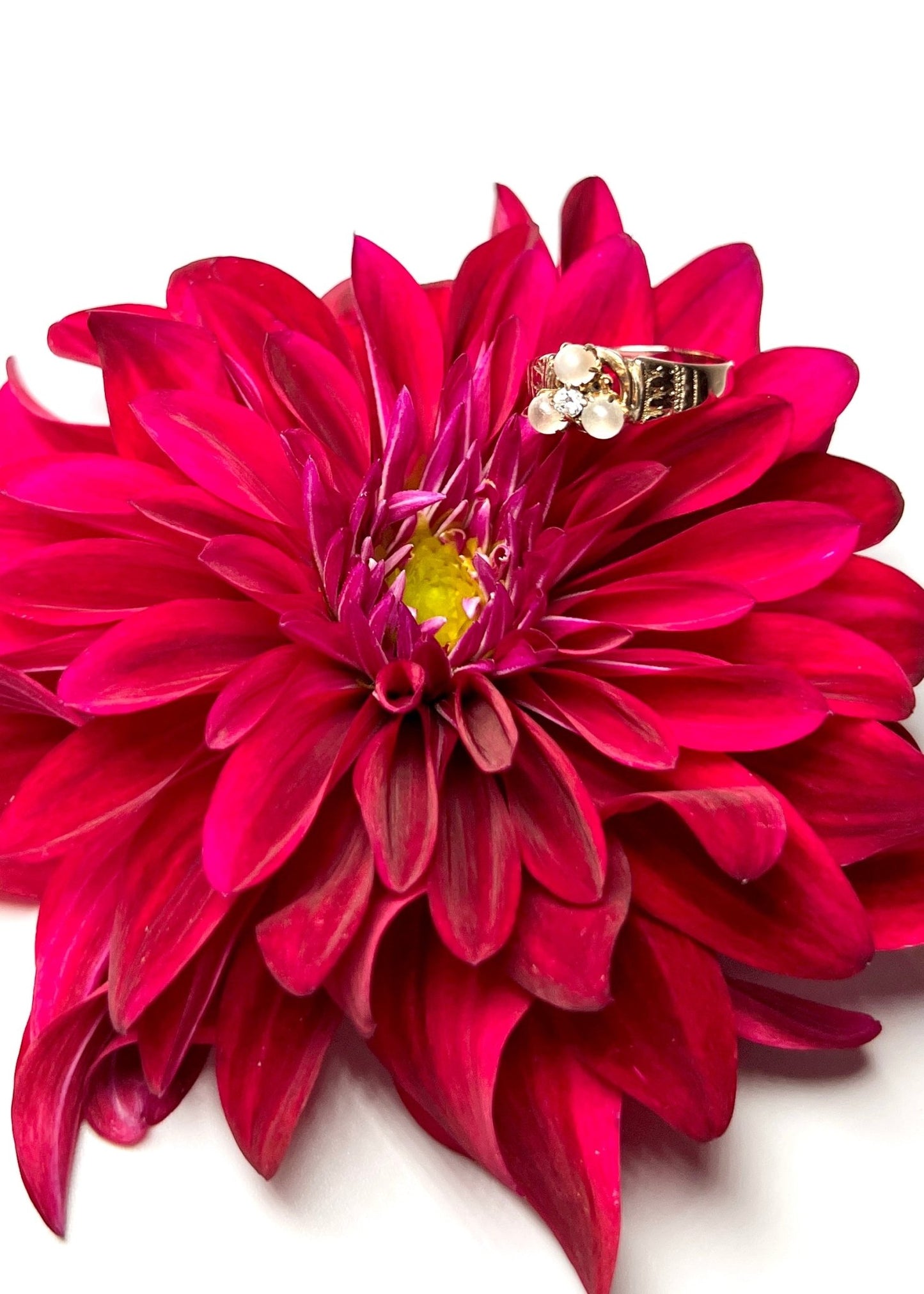 Frosted Moonstone and Diamond 10K Rose Gold Ring - Georgie's NYC - Rings