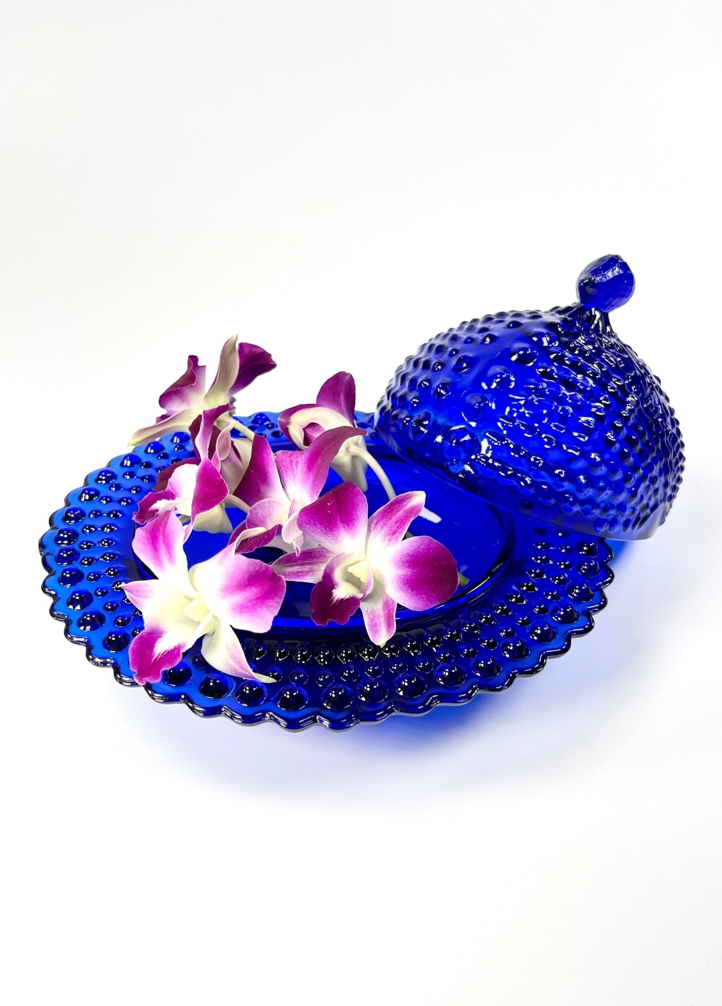 L. G. Wright Cobalt Blue Argonaut Shell Covered Dish - Georgie's NYC - Decorative Bowls