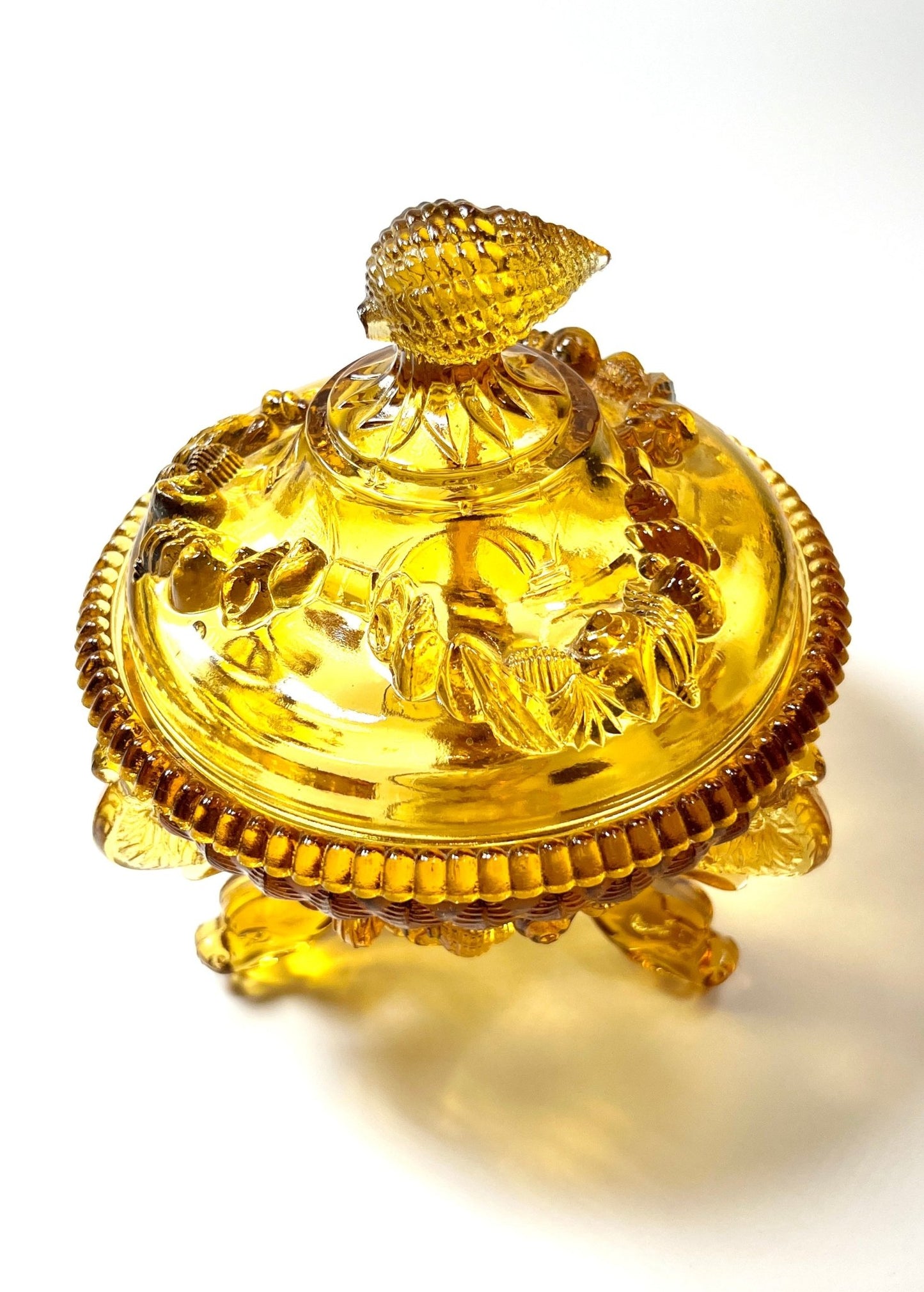 Westmoreland Amber Argonaut Nautilus Candy Dish - Georgie's NYC - Decorative Jars