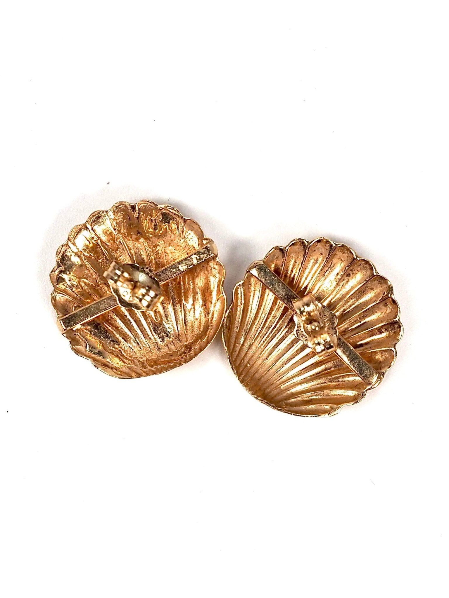 14K Gold Scallop Seashell Earrings - Georgie's NYC - Earrings