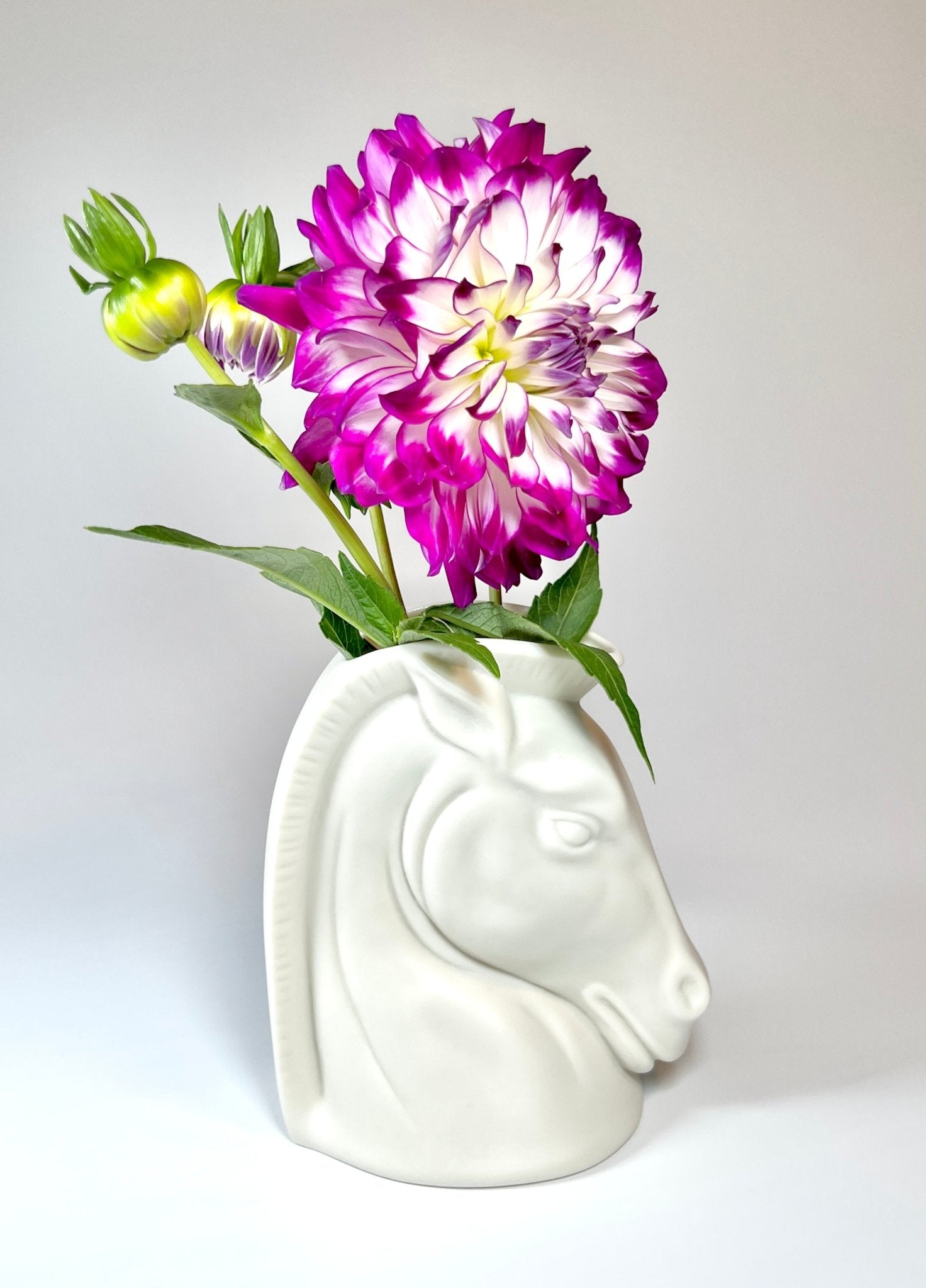 Vintage Art Deco White Porcelain Horse Head Vase – Georgie'S Nyc